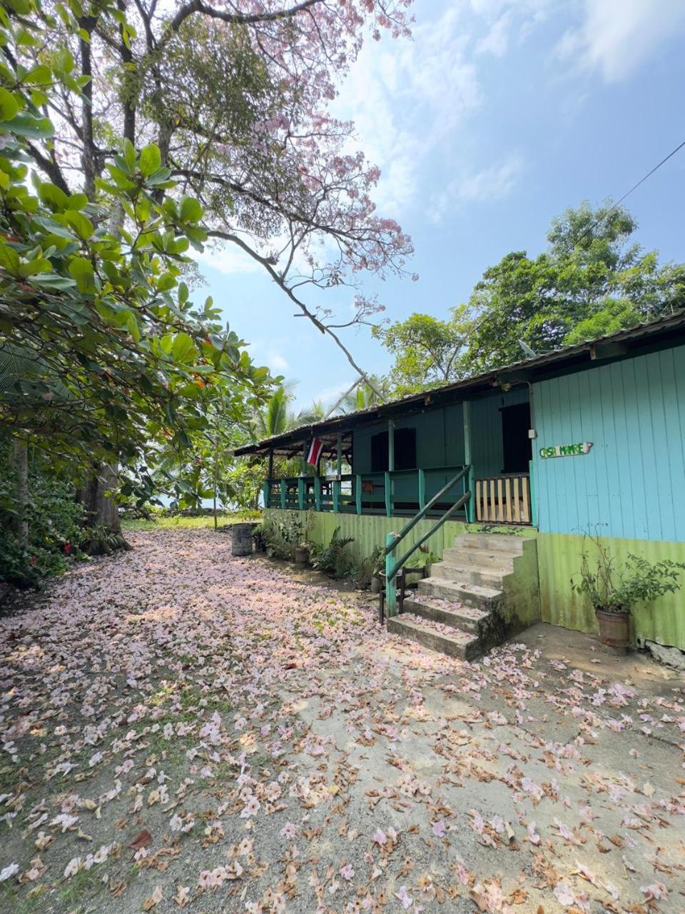 Casa Mamre Hostel Cahuita Ngoại thất bức ảnh